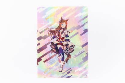 Uma Musume Pretty Derby Clear File Vol. 2 "Grass Wonder"